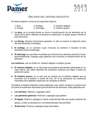 ÓRGANOS DEL SISTEMA DIGESTIVO
El sistema digestivo consta de los siguientes órganos:
1. Boca 3. Esófago 5. Intestino delgado
2. Faringe 4. Estómago 6. Intestino grueso
1. La boca, es la cavidad donde se inicia la transformación de los alimentos por la
acción de la saliva. Mientras se produce la masticación, la lengua ayuda a formar el
bolo alimenticio.
2. La faringe, llamada comúnmente garganta: en ella se produce la deglución (paso
del bolo alimenticio al esófago).
3. El esófago, es un conducto cuyos músculos se contraen e impulsan el bolo
alimenticio hacia el estómago.
4. El estómago, es una bolsa musculosa que almacena los alimentos durante 4 horas,
aproximadamente. Segrega jugos gástricos que continúan la transformación de los
alimentos.
Los intestinos, que se dividen en: intestino delgado e intestino grueso.
5. El intestino delgado, es un tubo largo que presenta abundantes vellosidades en su
capa interna, las cuales absorben las sustancias nutritivas que llegan a todas las
partes del cuerpo.
6. El intestino grueso, es un tubo que se conecta con el intestino delgado que se
comunica con el exterior a través del ano. En él se almacenan las sustancias
inservibles de la digestión esperando ser arrojadas al exterior.
Completan el Sistema Digestivo ciertas glándulas cuya misión consiste en proporcionar
una serie de sustancias necesarias para transformar los alimentos. Estas glándulas son:
• Las salivales: Elaboran y segregan saliva.
• Las glándulas gástricas: Producen y segregan jugo gástrico.
• El hígado: Elabora y segrega un líquido verde llamado bilis que ayuda a disolver las
grasas. La bilis se almacena en una bolsita llamada Vesícula Biliar.
• El páncreas: Produce y segrega el jugo pancreático.
 