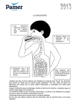 LA DIGESTIÓN
¿Sabías que hay muchos órganos que trabajan en conjunto para "licuar" los alimentos
que comes de modo que tu cuerpo pueda utilizarlos?. Por eso, antes de pasar los
alimentos que entran por tu boca, debes masticarlos y mezclarlos con saliva para
ablandarlos.
Luego, el alimento pasa al estómago, donde se termina de mezclar, y después sigue su
camino hasta llegar a los intestinos.
Los intestinos saben lo que sirve para alimentarte, y lo llevan a las células de tu sangre.
Lo que no sirve, en cambio, lo eliminas por el ano.
Todo este proceso dura muchas horas y se llama digestión.
Es por eso que debes masticar bien los alimentos: ello te permitirá tener una buena
digestión.
3. Finalmente, van a los
intestinos, desde ahí
pasa a la sangre lo que
no sirve a tu cuerpo se
elimina
Esta máquina que
realiza la digestión de
los alimentos se llama
Sistema Digestivo.
1. Los alimentos
entran por la boca y
con los dientes
debo masticarlos
bien.
2. Después llegan al
estómago, ahí se
mezclan y se
transforman.
 