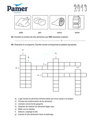 LECHE
pollo pan carne leche
03. Escribe el nombre de tres alimentos que NO necesitas masticar.
..........................................., ........................................... y ..........................................
04. Resuelve el crucigrama. Escribe donde corresponda la palabra apropiada.
a
↓ b
g ↓
↓
f →
d → c ↓
e →
a) Lugar donde los alimentos transformados que sirven pasan a la sangre.
b) Proceso de transformación de los alimentos.
c) Llamado comúnmente garganta.
d) Después de masticar los alimentos llegan aquí.
e) Moler con los dientes.
f) Elabora y segrega la bilis.
g) Impulsa el bolo alimenticio hacia el estómago.
 