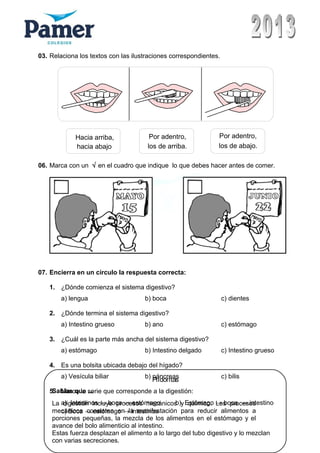 03. Relaciona los textos con las ilustraciones correspondientes.
Hacia arriba,
hacia abajo
Por adentro,
los de arriba.
Por adentro,
los de abajo.
06. Marca con un √ en el cuadro que indique lo que debes hacer antes de comer.
07. Encierra en un círculo la respuesta correcta:
1. ¿Dónde comienza el sistema digestivo?
a) lengua b) boca c) dientes
2. ¿Dónde termina el sistema digestivo?
a) Intestino grueso b) ano c) estómago
3. ¿Cuál es la parte más ancha del sistema digestivo?
a) estómago b) Intestino delgado c) Intestino grueso
4. Es una bolsita ubicada debajo del hígado?
a) Vesícula biliar b) páncreas c) bilis
5. Marca la serie que corresponde a la digestión:
a) Intestinos → boca → estómago b) Estómago → boca → intestino
c) Boca → estómago → intestinos
Pildoritas
Sabias que ...
La digestión incluye procesos mecánicos y químico. Los procesos
mecánicos consisten en la manifestación para reducir alimentos a
porciones pequeñas, la mezcla de los alimentos en el estómago y el
avance del bolo alimenticio al intestino.
Estas fuerza desplazan el alimento a lo largo del tubo digestivo y lo mezclan
con varias secreciones.
 