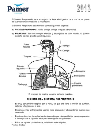 El Sistema Respiratorio, es el encargado de llevar el oxígeno a cada una de las partes
del cuerpo humano mediante la respiración.
El Sistema Respiratorio está formado por los siguientes órganos:
a) VIAS RESPIRATORIAS: nariz, faringe, laringe, tráquea y bronquios.
b) PULMONES: Son dos cuerpos blandos y esponjosos de color rosado. El pulmón
derecho es más grande que el izquierdo.
El proceso de inspirar y espirar se llama respirar.
HIGIENE DEL SISTEMA RESPIRATORIO
- Es muy conveniente respirar por la nariz, ya que ella tiene la misión de purificar,
calentar y humedecer el aire.
- Debemos evitar enfriamientos usando ropa adecuada y abrigándonos cuando sea
necesario.
- Practicar deportes, tener las habitaciones siempre bien ventiladas y nunca aprendas
a fumar ya que el cigarrillo es el peor enemigo de tus pulmones.
- Evitar los lugares contaminados, asimismo, evitar el polvo.
Práctica de clase
 