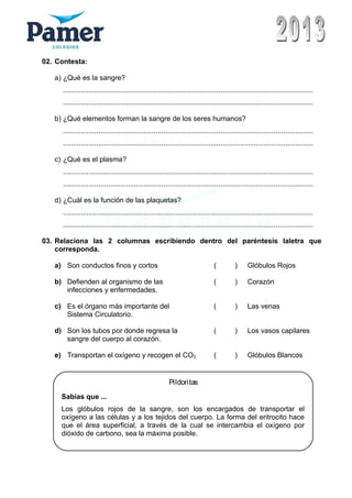 02. Contesta:
a) ¿Qué es la sangre?
...............................................................................................................................
...............................................................................................................................
b) ¿Qué elementos forman la sangre de los seres humanos?
...............................................................................................................................
...............................................................................................................................
c) ¿Qué es el plasma?
...............................................................................................................................
...............................................................................................................................
d) ¿Cuál es la función de las plaquetas?
...............................................................................................................................
...............................................................................................................................
03. Relaciona las 2 columnas escribiendo dentro del paréntesis laletra que
corresponda.
a) Son conductos finos y cortos ( ) Glóbulos Rojos
b) Defienden al organismo de las ( ) Corazón
infecciones y enfermedades.
c) Es el órgano más importante del ( ) Las venas
Sistema Circulatorio.
d) Son los tubos por donde regresa la ( ) Los vasos capilares
sangre del cuerpo al corazón.
e) Transportan el oxígeno y recogen el CO2 ( ) Glóbulos Blancos
Pildoritas
Sabias que ...
Los glóbulos rojos de la sangre, son los encargados de transportar el
oxígeno a las células y a los tejidos del cuerpo. La forma del eritrocito hace
que el área superficial, a través de la cual se intercambia el oxígeno por
dióxido de carbono, sea la máxima posible.
 