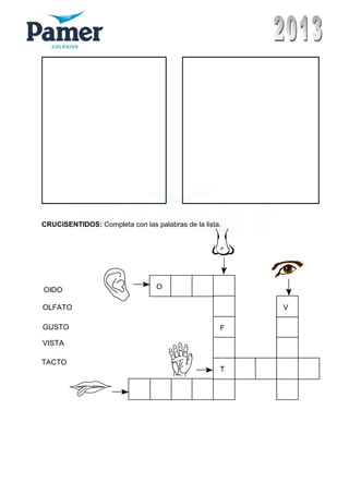 CRUCISENTIDOS: Completa con las palabras de la lista.
OIDO
OLFATO
VISTA
TACTO
GUSTO
O
F
T
V
 