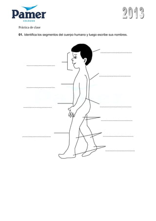 Práctica de clase
01. Identifica los segmentos del cuerpo humano y luego escribe sus nombres.
...............................
...............................
...............................
...............................
..............................
.............................
............................
............................
............................
............................
 