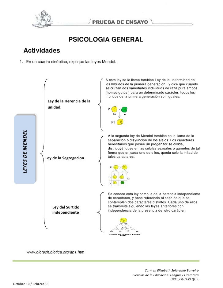 Primera Y Segunda Ley De Mendel Resumen Ley Compartir