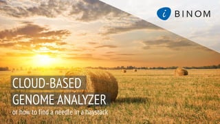 CLOUD-BASED
GENOME ANALYZER
or how to find a needle in a haystack
 