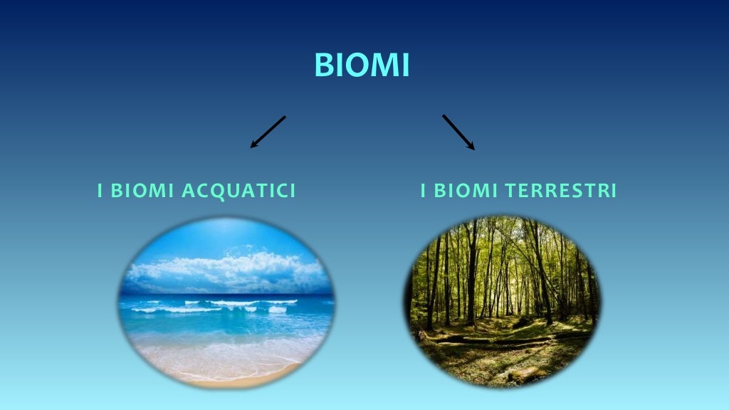 I biomi marini