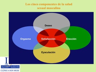 Los cinco componentes de la salud sexual masculina Satisfacción Deseo Erección Orgasmo Eyaculación 