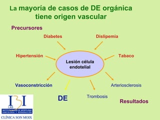 Dislipemia Diabetes Trombosis DE La  mayoría de casos de DE orgánica tiene origen vascular Hipertensión Tabaco Resultados Precursores Lesión célula endotelial Vasoconstricción Arteriosclerosis 