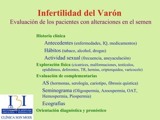 Infertilidad del Varón  Evaluación de los pacientes con alteraciones en el semen Historia clínica Antecedentes  (enfermedades, IQ, medicamentos) Hábitos  (tabaco, alcohol, drogas) Actividad sexual  (frecuencia, aneyaculación ) Exploración física   (cicatrices, malformaciones, testículos, epidídimos, deferentes, TR, hernias, criptorquidea, varicocele) Evaluación de complementarias AS  (hormonas, serología, cariotipo, fibrosis quística)  Seminograma  (Oligospermia, Azoospermia, OAT, Hemospermia, Piospermia) Ecografías Orientación diagnóstica y pronóstico 