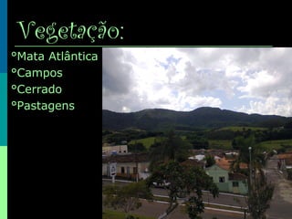 Vegetação:
°Mata Atlântica
°Campos
°Cerrado
°Pastagens
 