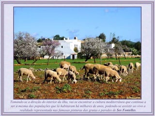 Tomando-se a direção do interior da ilha, vai-se encontrar a cultura mediterrânea que continua a
ser a mesma das populações que lá habitaram há milhares de anos, podendo-se assistir ao vivo a
       realidade representada nas famosas pinturas das grutas e paredes de Ses Fontelles.
 