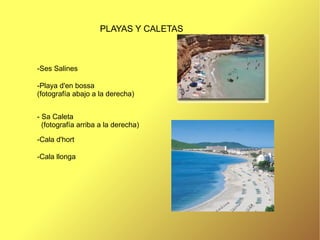 PLAYAS Y CALETAS  -Ses Salines -Playa d'en bossa  (fotografía abajo a la derecha) - Sa Caleta (fotografía arriba a la derecha) -Cala d'hort -Cala llonga 