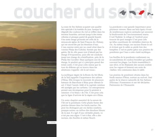 coucher du soleil La zone de Ses Salines acquiert une qualité         La posidonie a une grande importance pour
                  très spéciale à la tombée du jour, lorsque le       plusieurs raisons. Dans ses bois épais vivent
                  dégradé des couleurs du ciel se reflète dans les    de nombreuses espèces animales qui assurent
                  terrains humides, arrivant jusqu’à des teints       la biodiversité de l’environnement marin.
                  célestes et presque pastel de grande beauté.        C’est l’habitat, le refuge et l’endroit pour
                  Une autre image picturale est celle de la           trouver de quoi manger. C’est pour cela
                  minuscule église de Sant Frances de s’Estany,       qu’elles constituent de véritables réserves de
                  qui est encerclée par les étendues d’eau.           vie. Au même temps, ses racines fixent le sol
                  L’eau marine entre par un canal situé dans la       et évitent que le sable se perde lors des
                  voisine Platja des Codolar, formée par des          tempêtes. C’est en partie grâce aux prairies de
                  galets. De là, elle passe tout d’abord par les      posidonie que l’eau a cette clarté mythique.
                  étangs d’évaporation, puis elle est conduite
                  jusqu’aux étangs de cristallisation, près de la     Les feuilles de la posidonie conforment ces
                  Platja des Cavallet. Dans quelques uns de ces       accumulations de couleur brunâtre qui parfois
                  étangs, le produit qui s’y précipite prend des      couvrent les plages. Les fruits ressemblent à
                  teints rosés. C’est pour cette raison que la        une olive, et les filaments des racines roulent
                  tour de défense qui se trouve dans les              avec les vagues et forment une sorte de
                  alentours s’appelle «de la sal rossa».              «balles» très communes dans le sable.

                  La mythique régate de la Route du Sel (Ruta         Les prairies de posidonie situées dans les
                  de la Sal) rappelle l’importance des salines        fonds marins d’Ibiza, surtout au sud-est, font
                  d’Ibiza. Elle évoque la traversée de plusieurs      partie de la réserve naturelle de Ses Salines
                  bateaux de Barcelone à Ibiza pour obtenir le        d’Eivissa i Formentera et ont été déclarées
                  sel. C’était l’année 1846 et la capitale catalane   Patrimoine de l’Humanité.
                  été assiégée par les carlistes. Un entrepreneur
                  promit une récompense pour le premier à
                  ramener «l’or blanc» de l’île. C’est pour cela
                  que la ligne d’arrivée de la régate est à Ibiza.

                  Un autre chapitre essentiel de la nature de
                  l’île est la posidonie. Cette plante forme des
                  prairies denses dans les fonds marins. On
                  peut les distinguer par ces tâches sombres,
                  presque noires, au milieu des étendues bleues
                  de la mer. Il s’agit d’une véritable plante, ce
                  n’est pas une algue. C’est à dire, elle a des
                  racines, des feuilles et même fleurit.

    Ses Salines



                                                                                                                   17
 