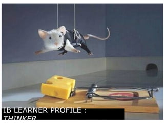 IB LEARNER PROFILE : 
THINKER 
 