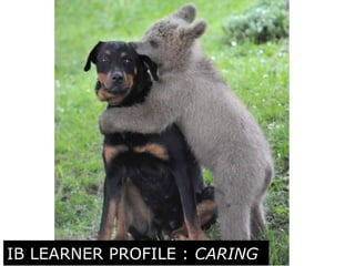 IB Learner Profile: 
Caring 
IB LEARNER PROFILE : CARING 
 