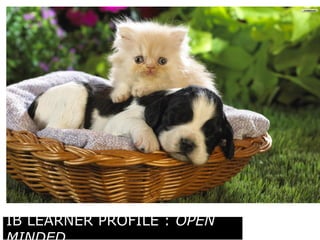 IB LEARNER PROFILE : OPEN 
MINDED 
 