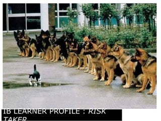 Risk-Taker 
IB LEARNER PROFILE : RISK 
TAKER 
 