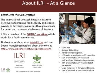 Gamifying mobile learning to improve organizational efficiency  in Africa's first insurance for pastoralists: Experience and initial lessons from IBLI's m-learning experiment with young sales agents