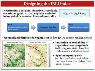 Index-Based Livestock Insurance in northern Kenya: An analysis of the patterns and determinants of purchase 