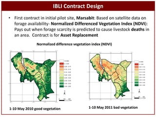 Sustainable livestock insurance for pastoralists