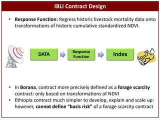 Sustainable livestock insurance for pastoralists
