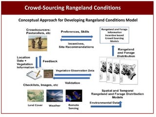 Sustainable livestock insurance for pastoralists