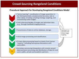 Sustainable livestock insurance for pastoralists