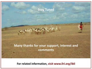 Index-Based Livestock Insurance: Protecting pastoralists against drought-related livestock mortality 