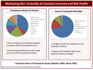 Index-Based Livestock Insurance: Protecting pastoralists against drought-related livestock mortality 
