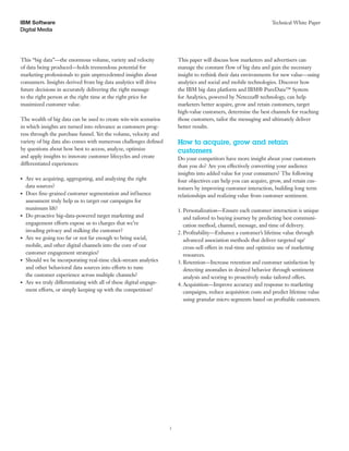 Ibm big data and analytics for a holistic customer journey