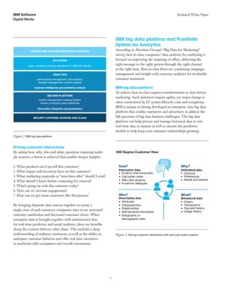 Ibm big data and analytics for a holistic customer journey