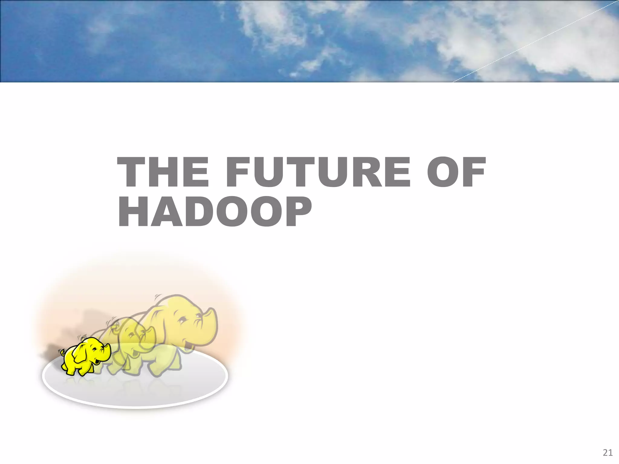THE FUTURE OF
HADOOP




                21	
  
 