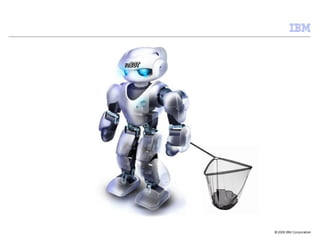 Ibm risk management-snap-shot | PPT