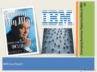 EmergingBusinessOpportunitiesatIBM
(A)
IBM Case Report
By MadeleineLee
 
