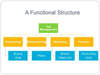 A Functional Structure
Top
Management
Purchasing
Buying
Units
Manufacturing
Plants
Marketing
Branch
Sales Unit
Finance
Accounting
Units
 