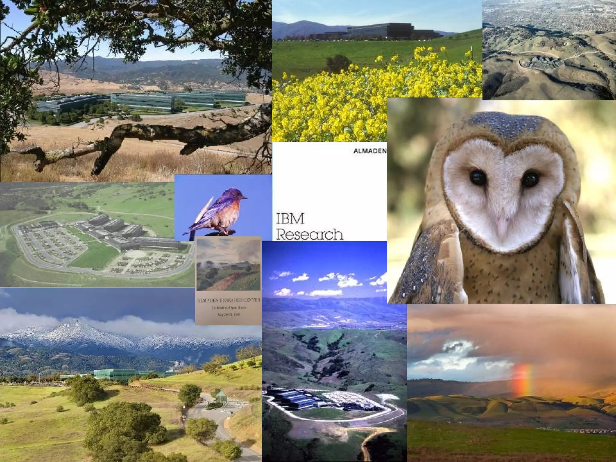 © 2012 IBM CorporationIBM UPward (University Programs worldwide – accelerating regional development)5
IBM Research - Almaden
© 2012 IBM Corporation
 