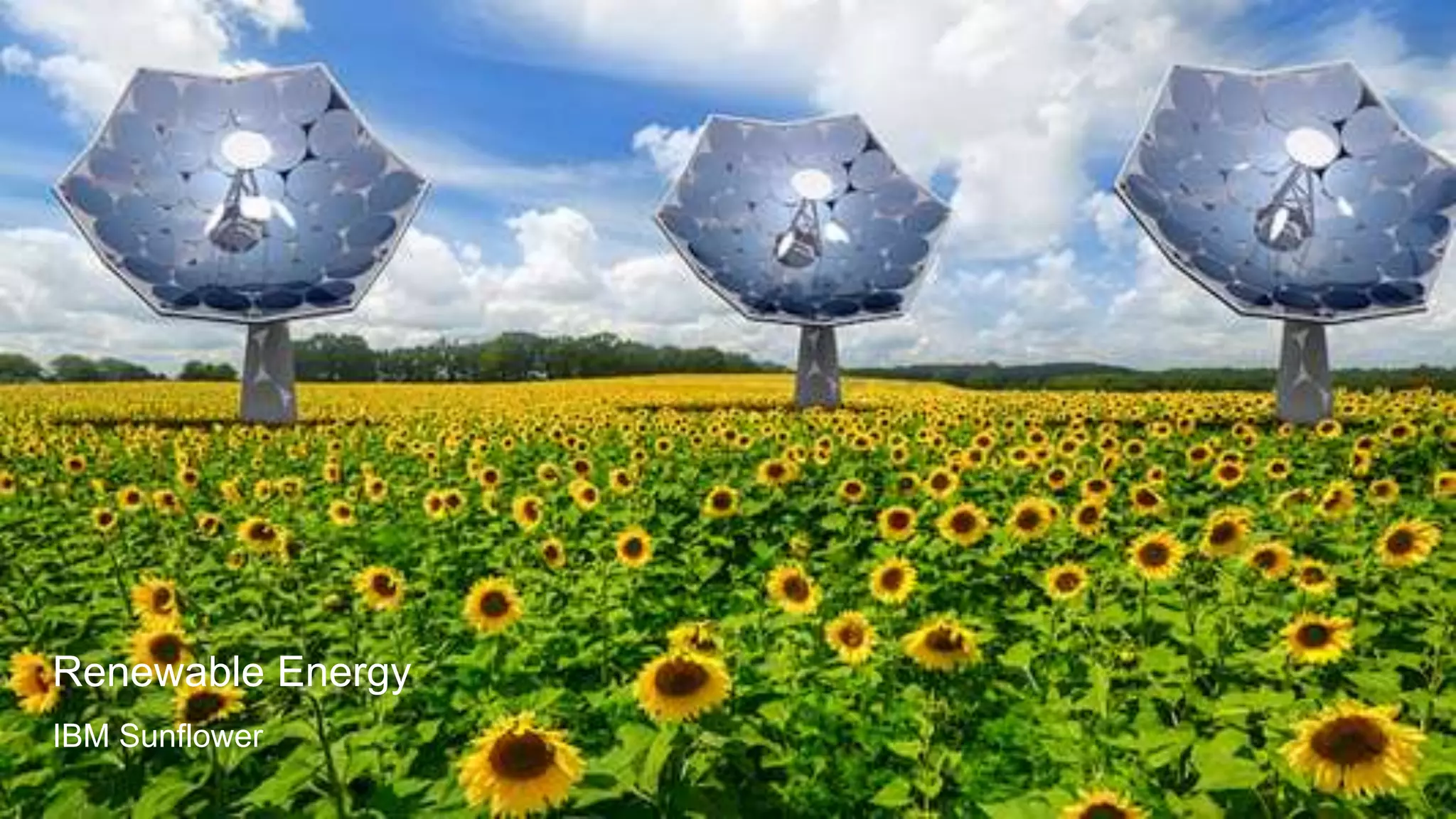 Renewable Energy
IBM Sunflower
 