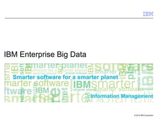 IBM Enterprise Big Data




                          Information Management


                                         © 2012 IBM Corporation
 