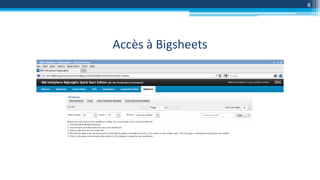 Accès à Bigsheets
8
 