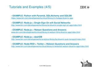 IBM Bluemix Hackathon Accelerator | PDF