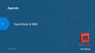 OpenStack & IBM
© 2017 IBM Corporation
I
Agenda
 