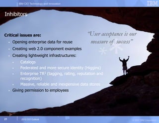 Ibm Cio 2010 Outlook