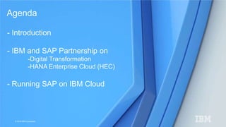 © 2016 IBM Corporation
- Introduction
- IBM and SAP Partnership on
-Digital Transformation
-HANA Enterprise Cloud (HEC)
- Running SAP on IBM Cloud
Agenda
 
