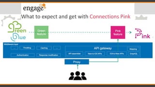 What to expect and get with Connections Pink
 