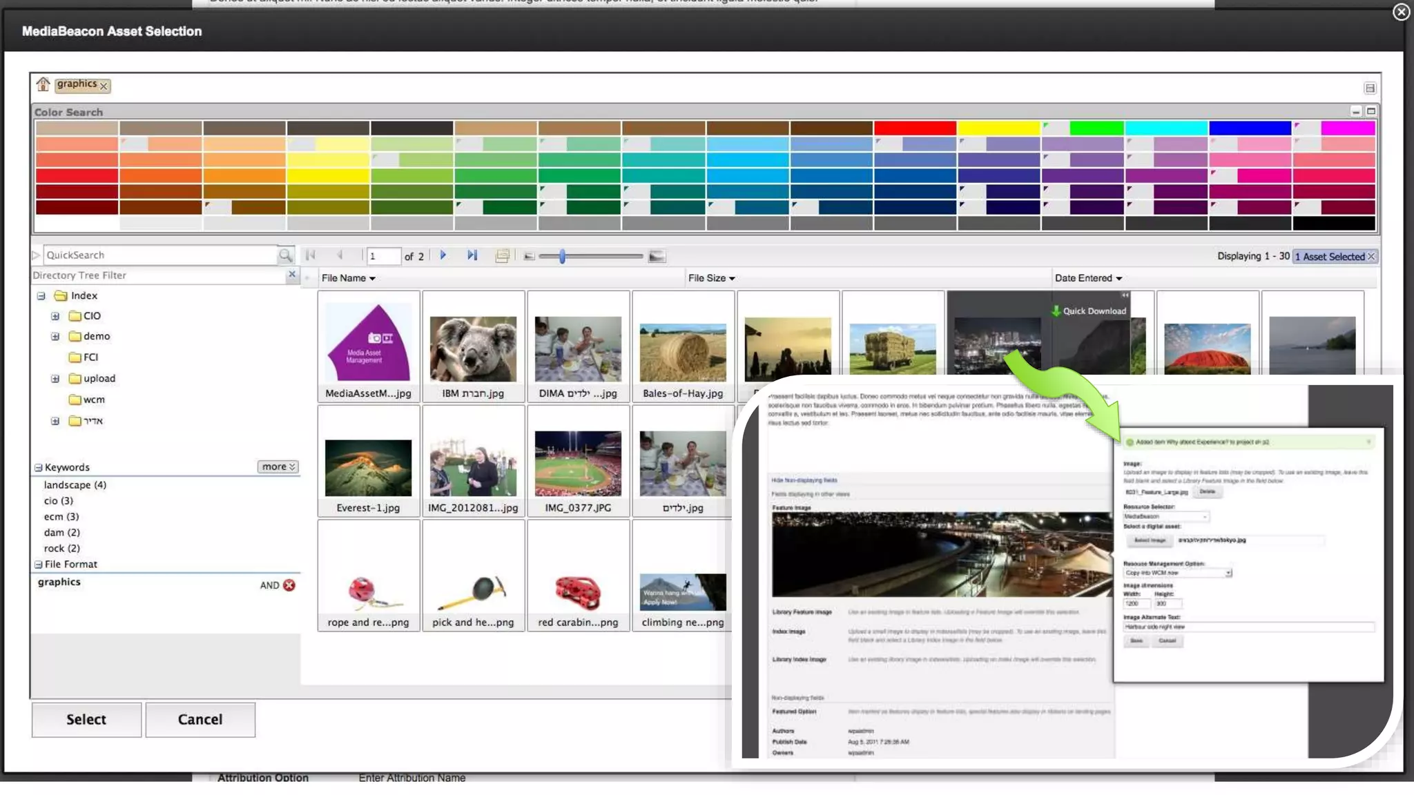 © 2014 International Business Machines Corporation 29
Manage compelling rich media through
WCM Rich Media Edition
 