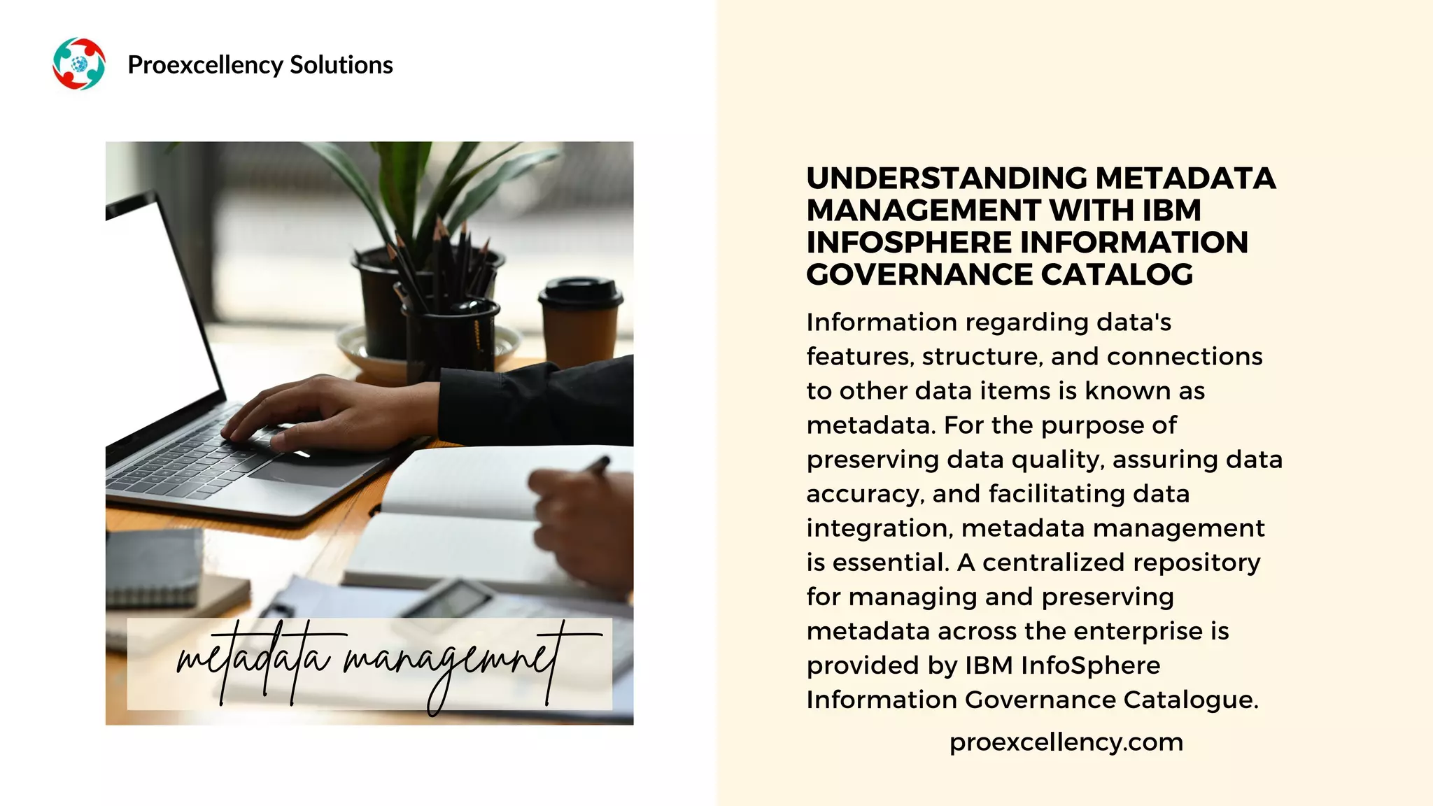 IBM InfoSphere Information Governance Catalog online training by real