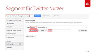Segment für Twitter-Nutzer
113
 