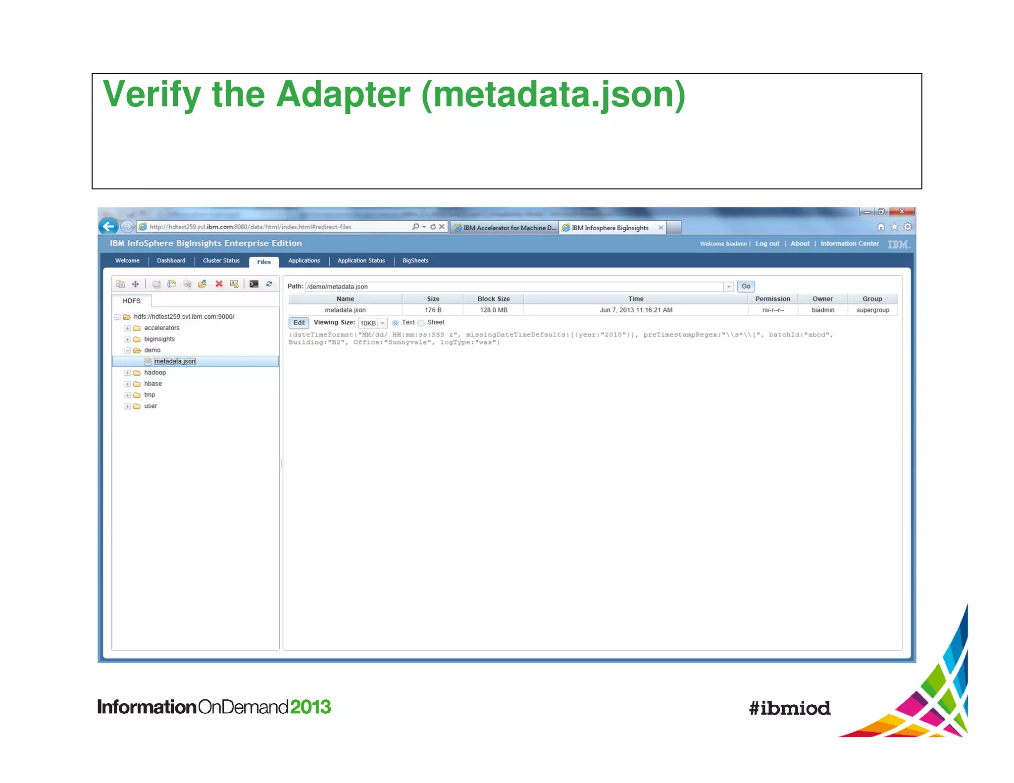 Verify the Adapter (metadata.json)

 