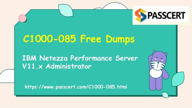IBM Netezza Performance Server
V11.x Administrator
C1000-085 Free Dumps
https://www.passcert.com/C1000-085.html
 